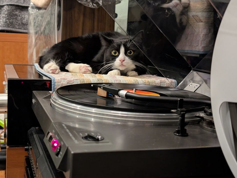 Tdk sa , maxell, sony. Професійна запис на аудіокасети з вініла.