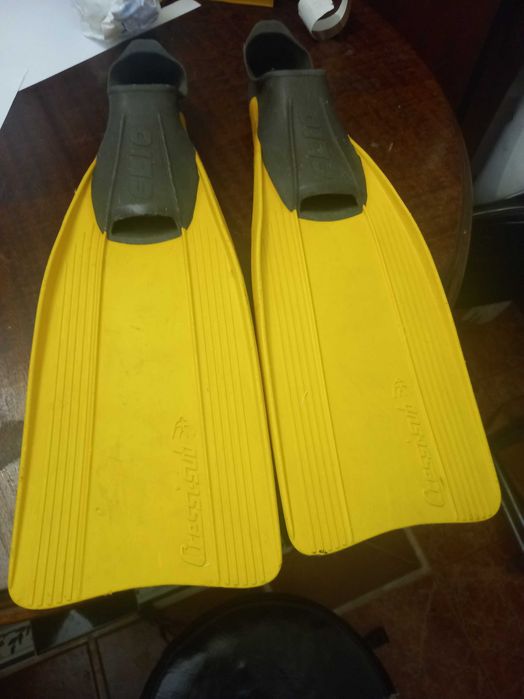 chumbeiras e canas de pesca + barbatanas + carrinhos + o colos