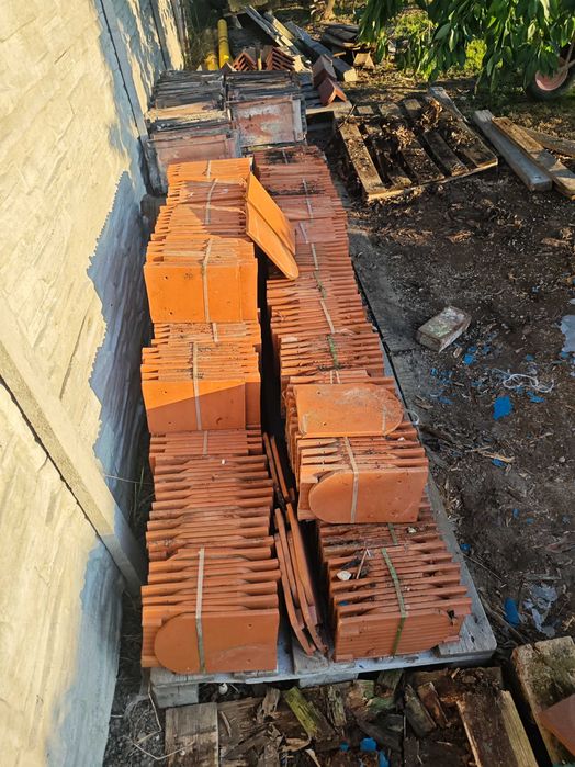 Dachówka karpiówka, skrajna