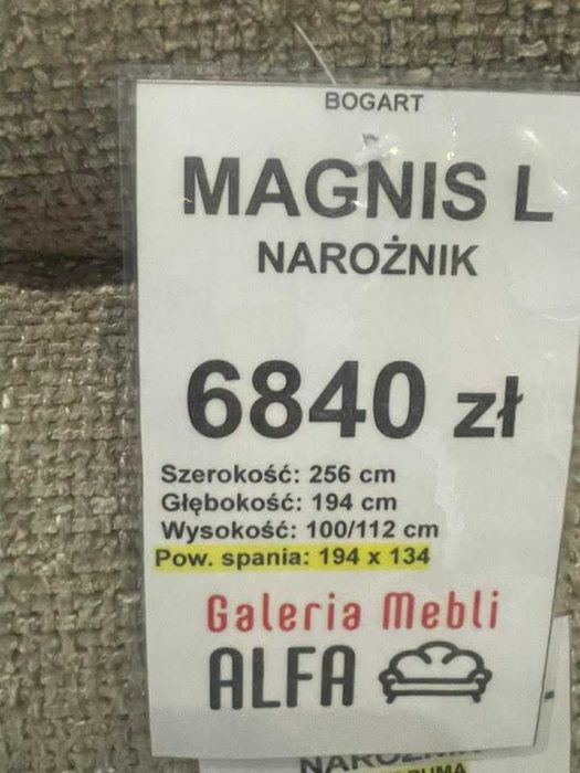 Bogart Magnis L - wyprzedaż ekspozycji