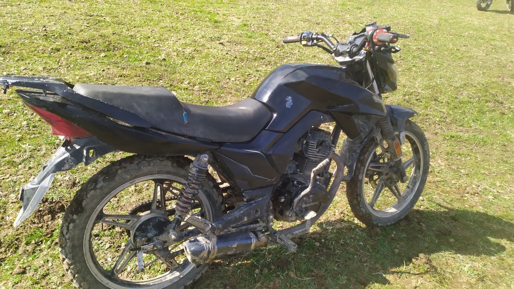 Мустанг фортуна 200