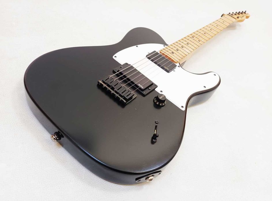 Fender Jim Root Telecaster Signature Series