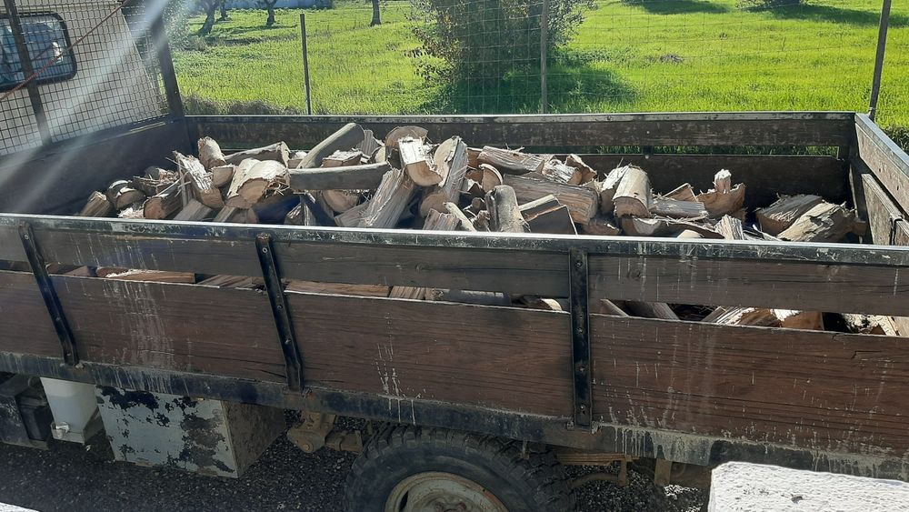 Lenha de eucalipto e sobro