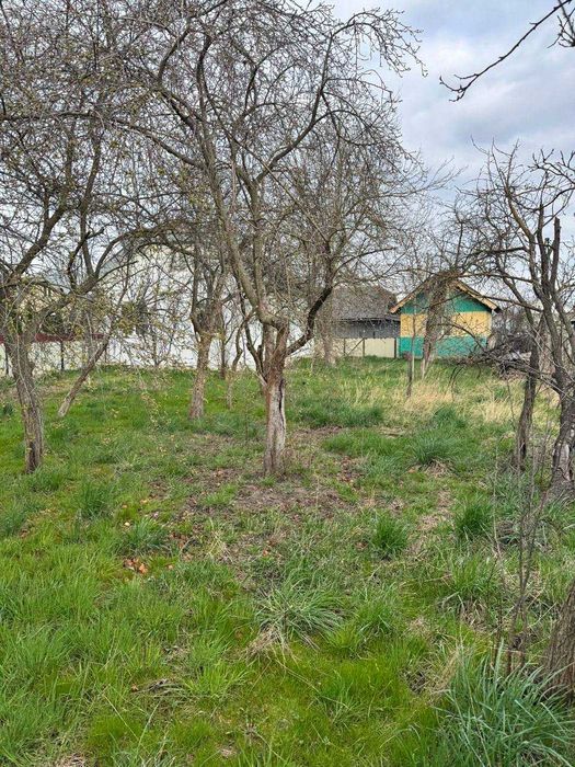 будинок з чудовою локацією Старі Кривотулипід сертифікат
