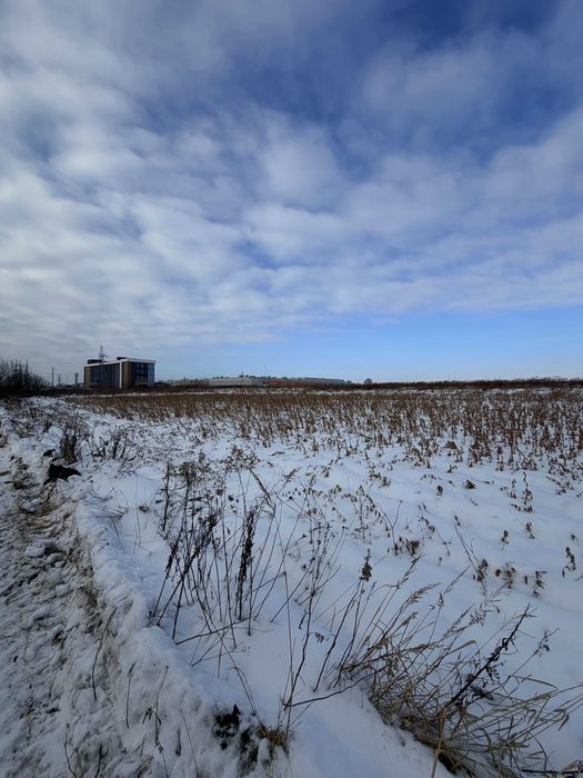 Продаж земельної ділянки поблизу Львова у с. Муроване 55 соток