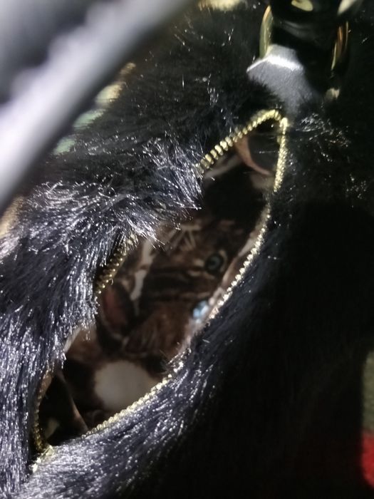 Клатч Кот оригинальный и качественный