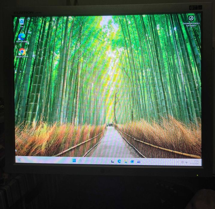 Monitor LG Flatron L1919S 19" Sprawny w 100%