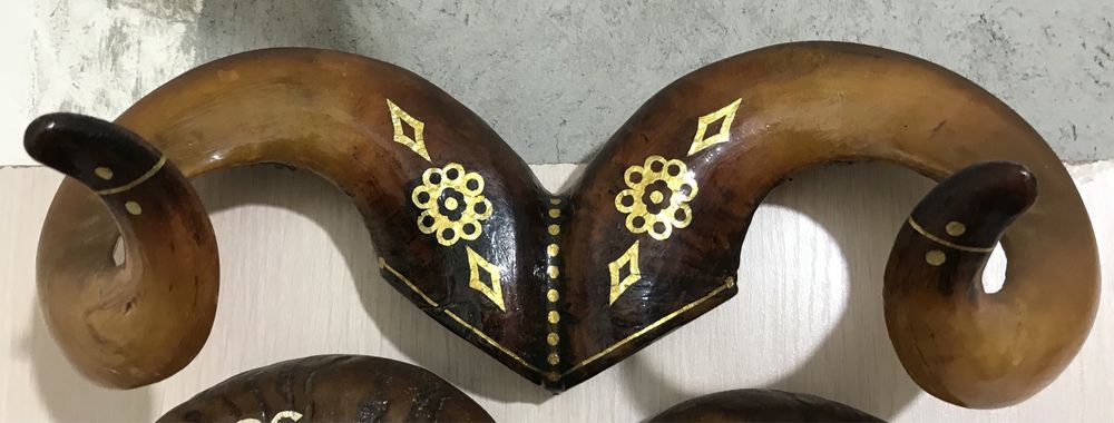 Продам рога різні на вибір