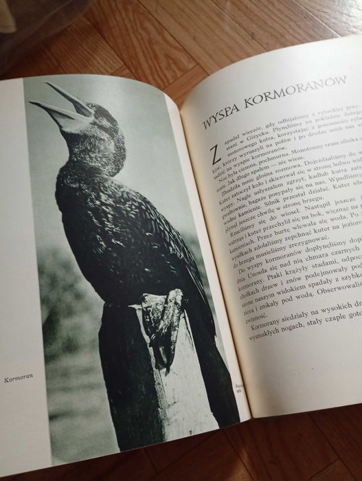 Album: ,,Wśród puszcz i lasów"