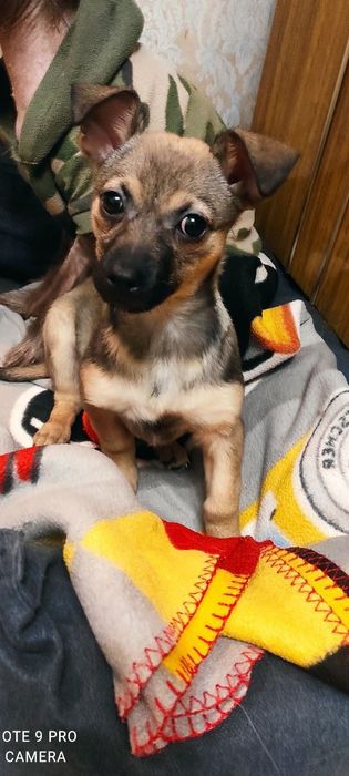 Маленькая девочка