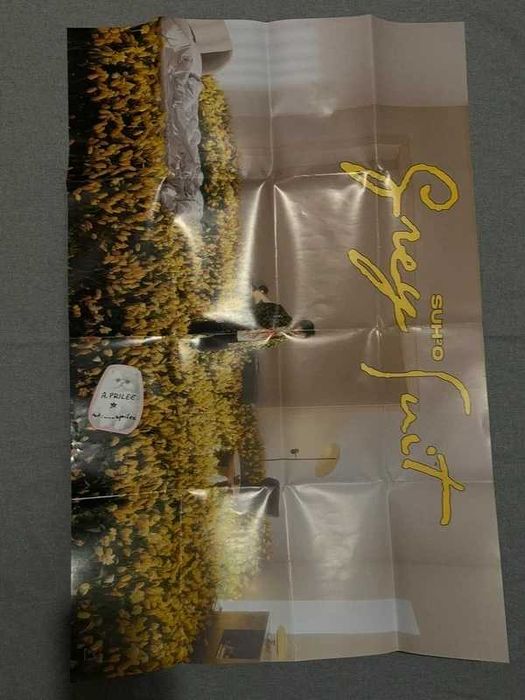EXO plakat oryginalny
