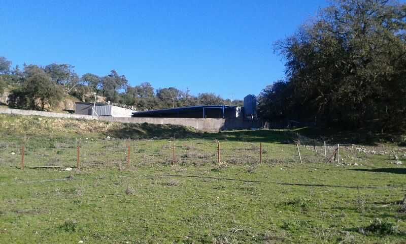 QUINTA COM PAVILHÃO (TODA MURADA)