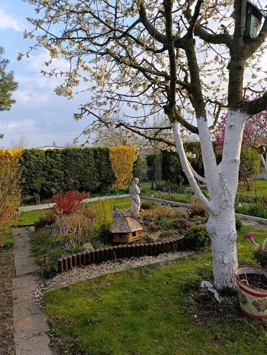 Żory.Działka ROD Wrzos.