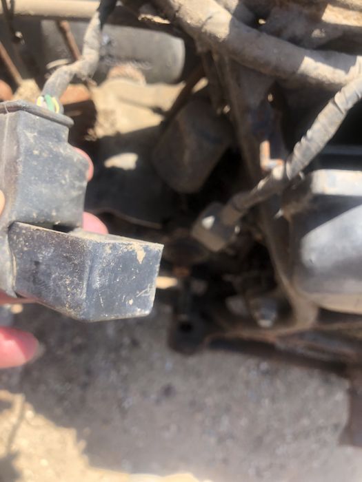 Esmagadora esmagadeira uvas vindimas