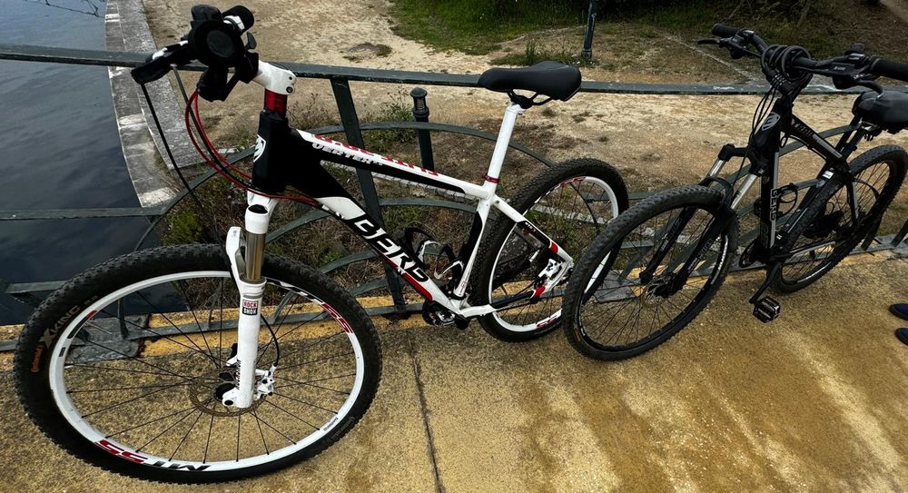 Bicicletas roda 29