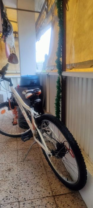 Bicicleta desporto