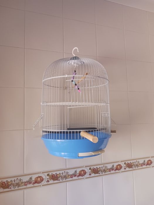 Gaiola redonda para aves