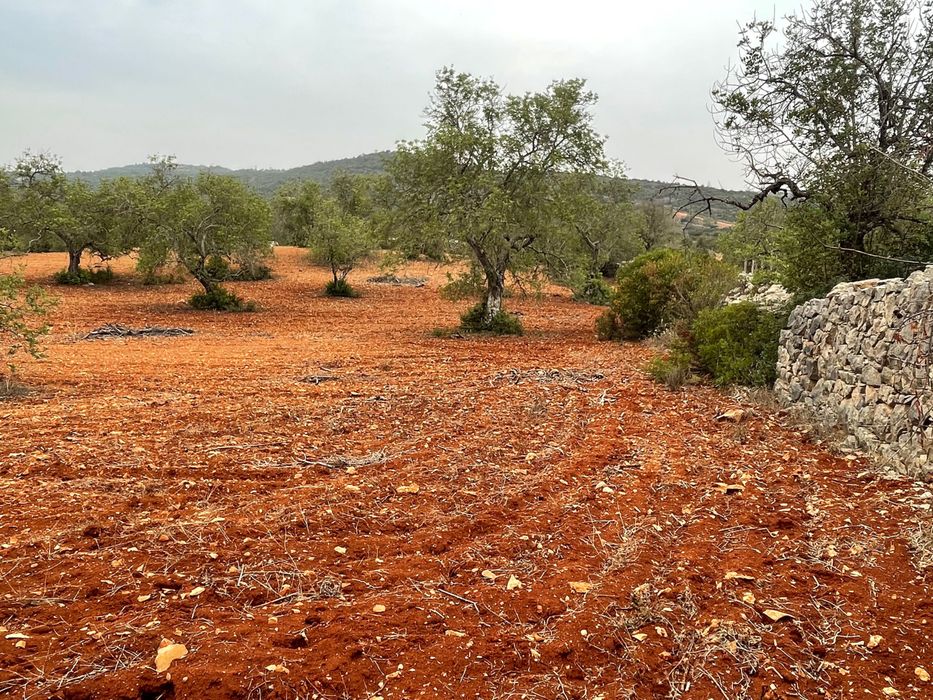 Terreno com vedação para arrendar em Paderne