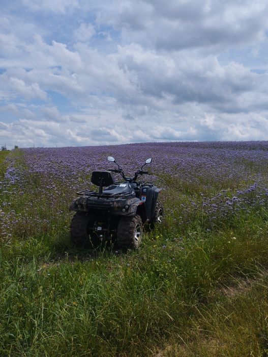 Квадроцикл linhau m170