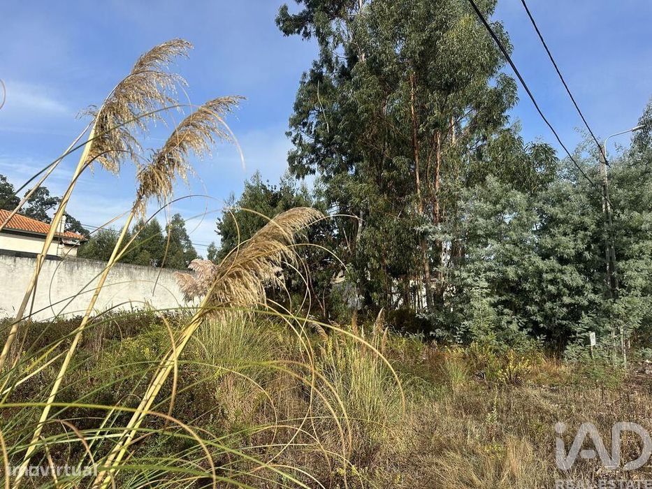 Terreno em Requeixo, Nossa Senhora de Fátima e Nariz de 310,00 m2