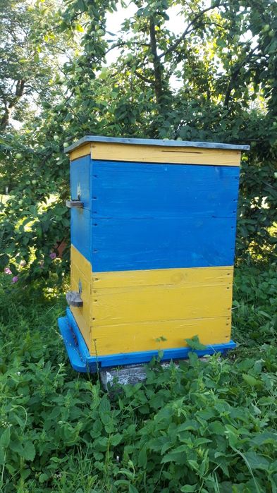 Продампасіку на даданівську рамку