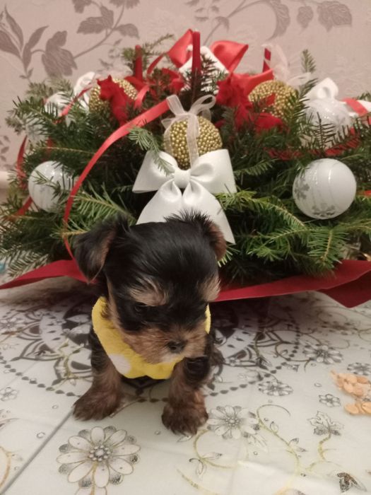 Мальчишки в ожидании чуда