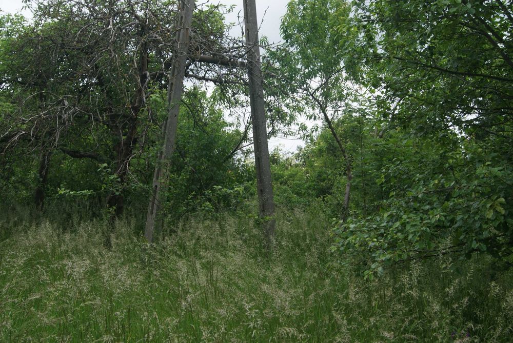 Zdjęcie 8