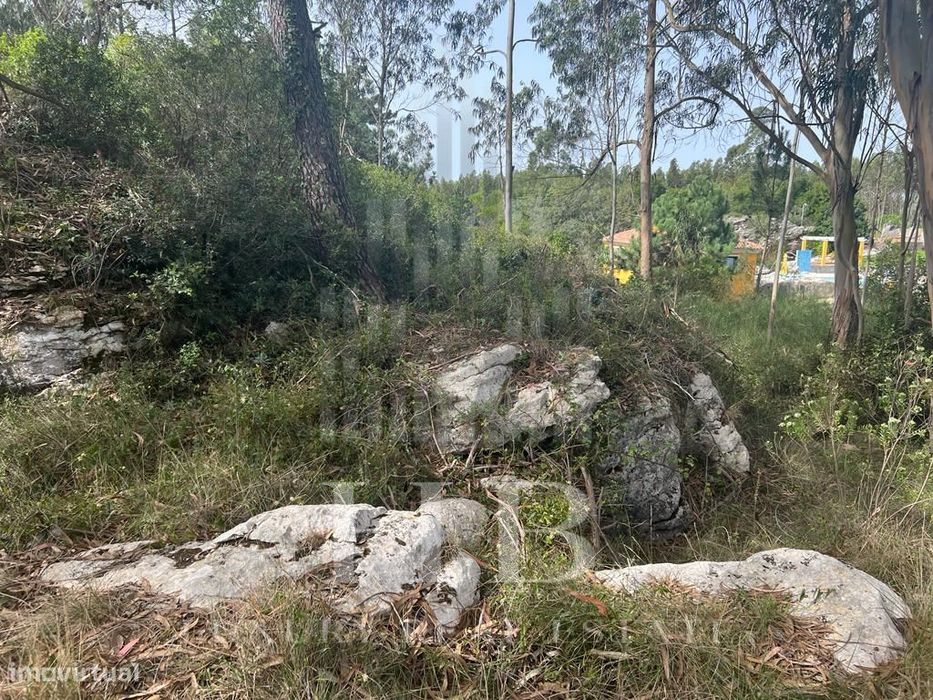 Terreno | Reguengo Grande | Lourinhã — Reguengo Grande, Lisboa