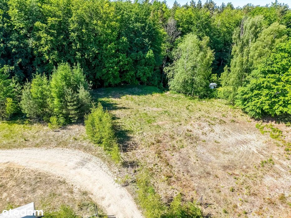 Sąsiadem jest las, plan zagospodarowania i media