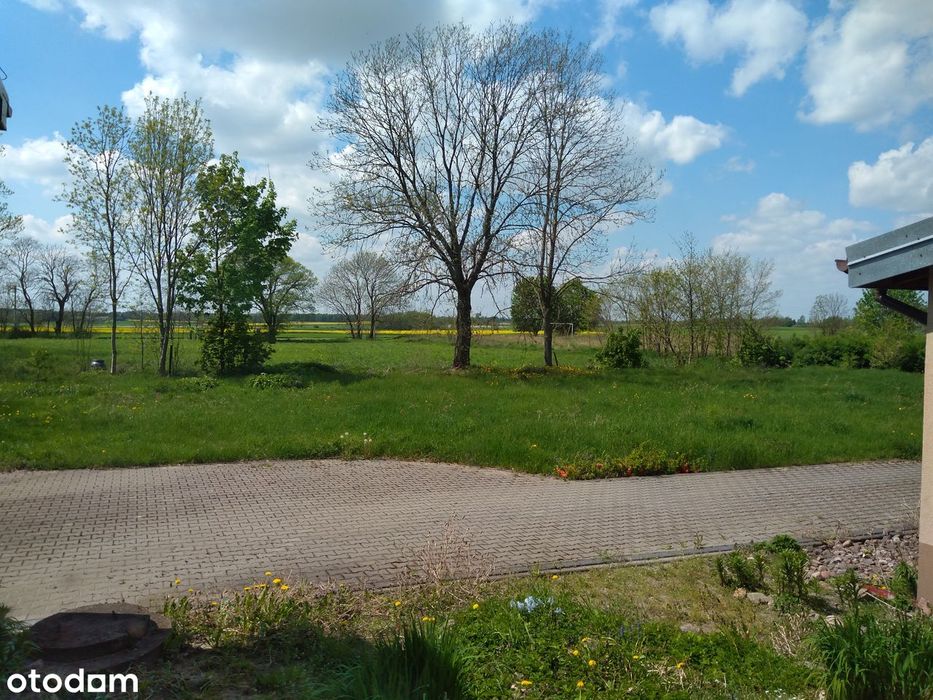 Siedlisko 2,5 ha + dworek 400 m² |cisza przyroda |Chodecz Włocławek