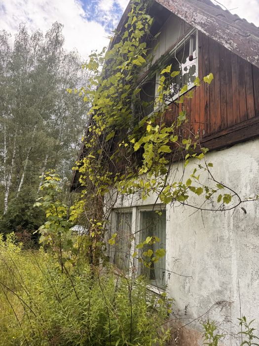 Dzialka Rod Kanie Popówek - Widok 2