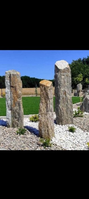 Pielęgnacja terenów zielonych, zakładanie ogrodów