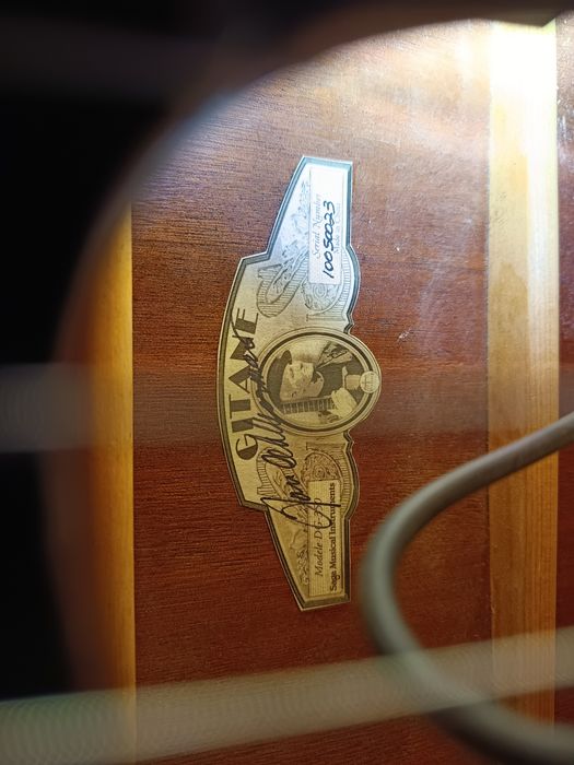 Gitane DG-350 Modele Jan Akkerman