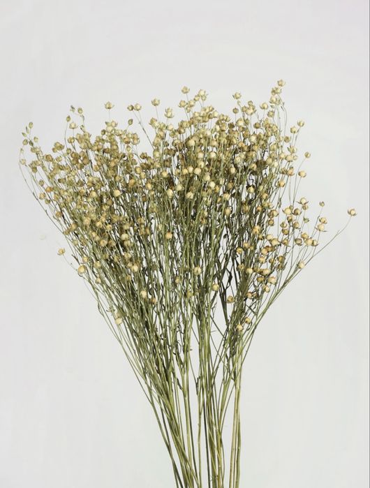 Льон натуральний