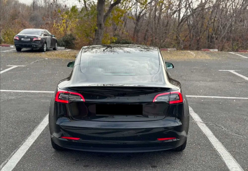 Tesla Model 3 Dual Motor Long Range 2019