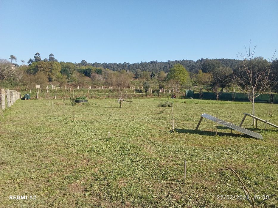 terreno pomar 3100 m2