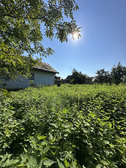 Продаж будинку та ділянки Винники, Підбірці (с.Миклашів),