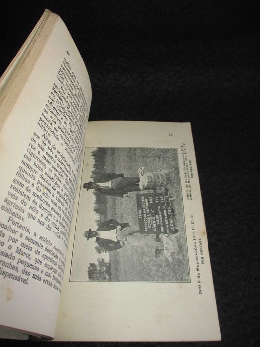Livro Cultura do Trigo António Luís de Seabra 1ª edição 1933