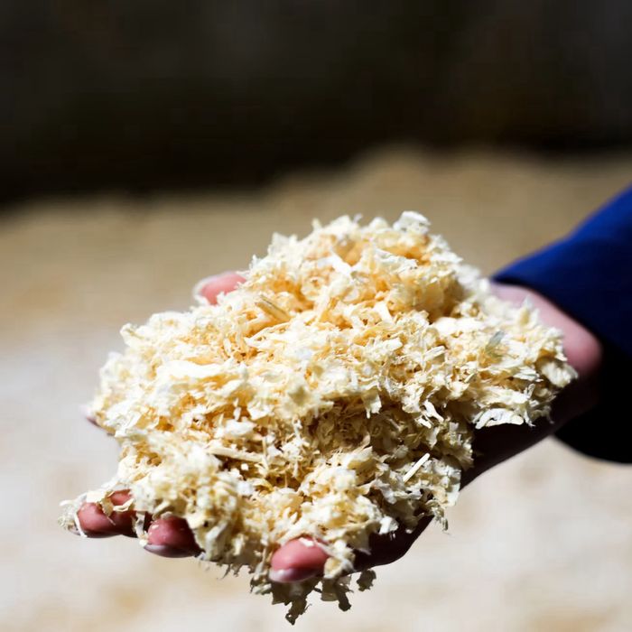 Bezpyłowe trociny sosnowe 20 kg | Ściółka do stajni | Producent