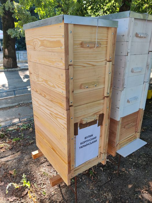 Вулик багатокорпусний  на 300/230/145/українську рамку, улей