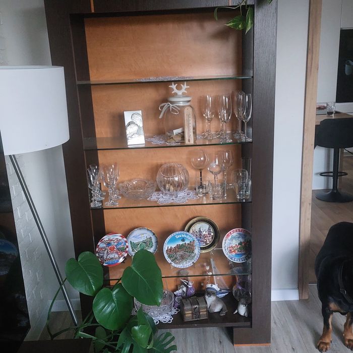 Zestaw mebli do salonu