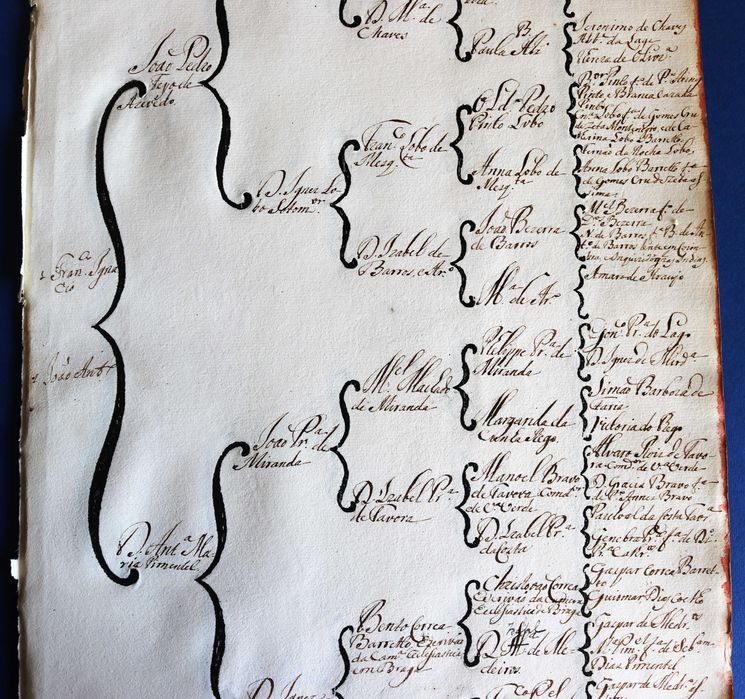 Costados de João Pedro de Azevedo e mulher D Antónia Maria Pimentel