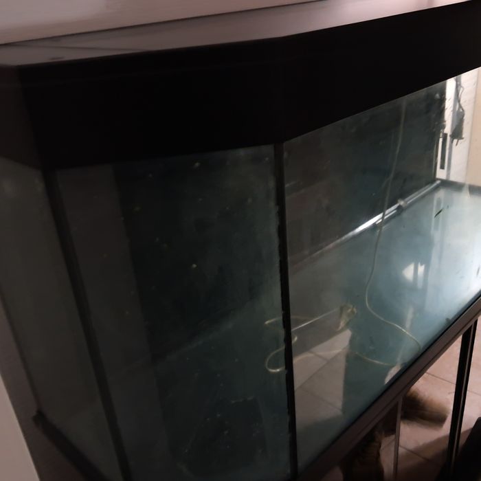 Акваріум 300 л. З підставкою. Все що  на фото  Самовиз. Доп. Фото