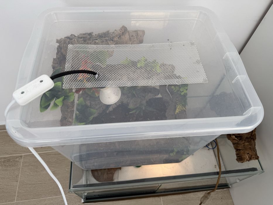 Terrarium plastikowe dla gada