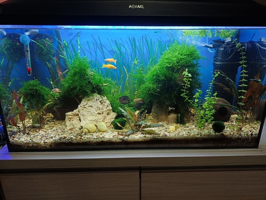 Sprzedam akwarium 120l