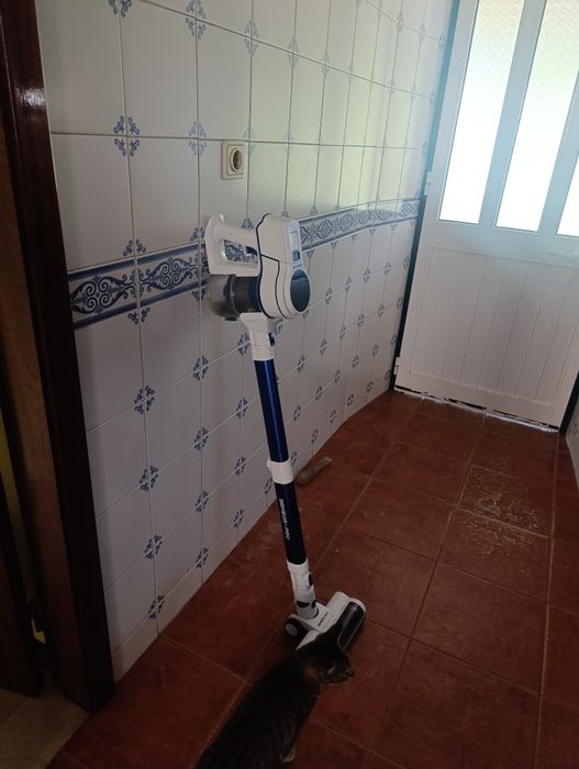 Aspirador vertical