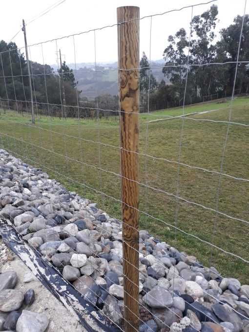 Rede Ovelheira Eletrosoldada LIGEIRA (NOVO)