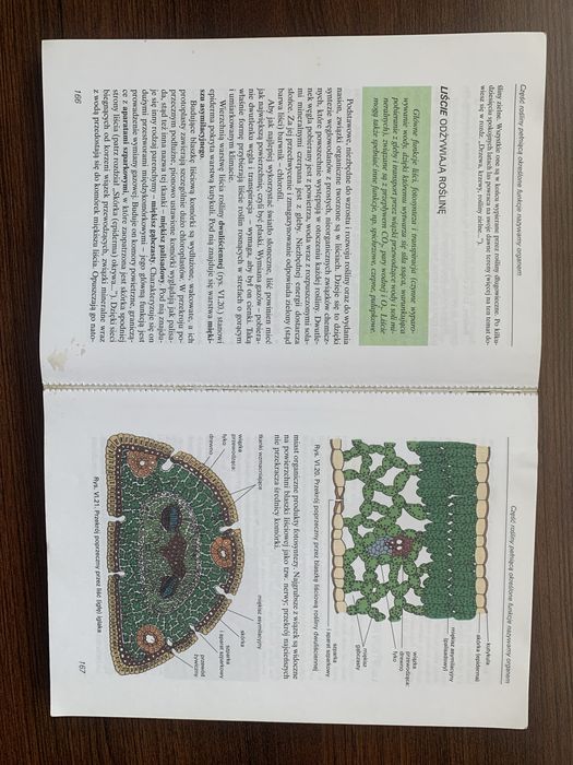 Botanika i biologia komorki