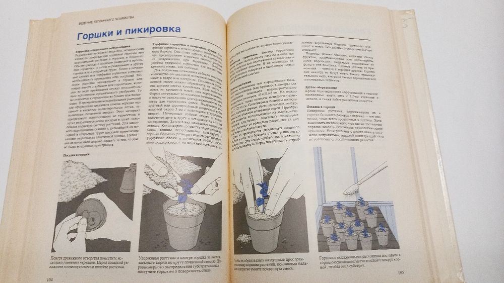 Растения под стеклом 1988г. К.Бекетт