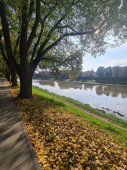 Здається в оренду кв-ра в Елітному ЖК ДРІМ СТІТІ поблизу Набережної